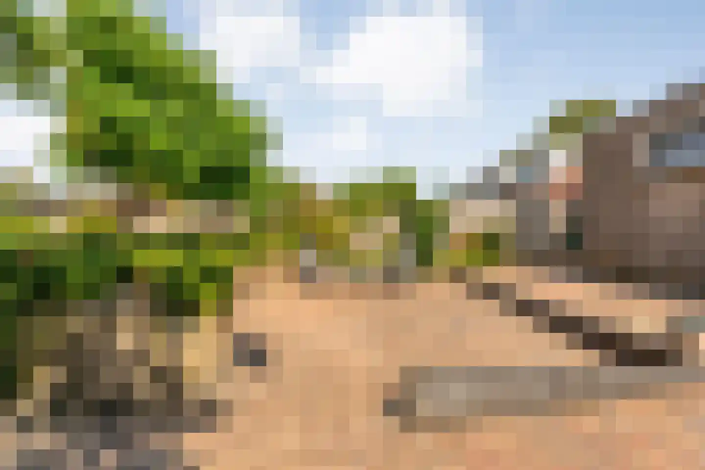 Lindenlaan 20 Geesbrug thumbnail 40