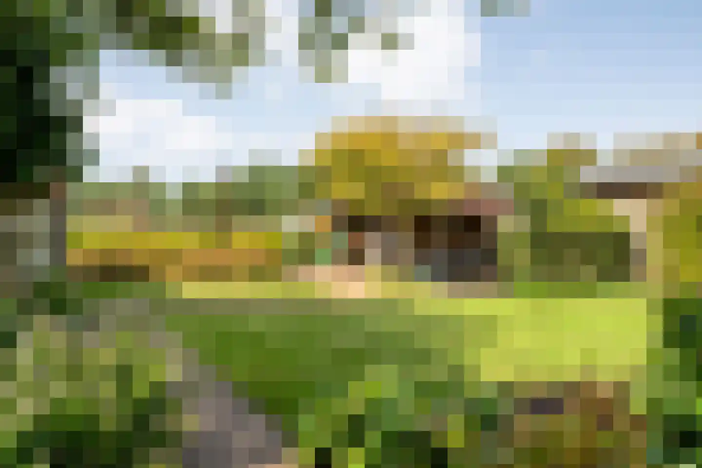 Lindenlaan 20 Geesbrug thumbnail 41