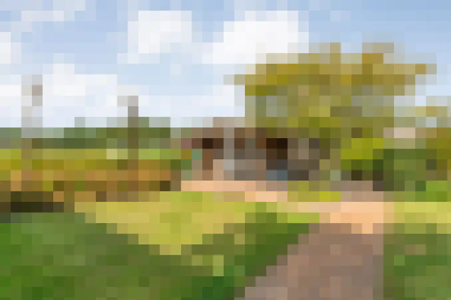 Lindenlaan 20 Geesbrug thumbnail 45