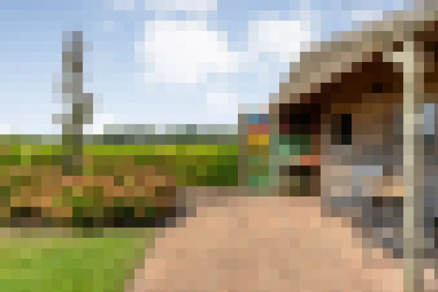 Lindenlaan 20 Geesbrug thumbnail 47