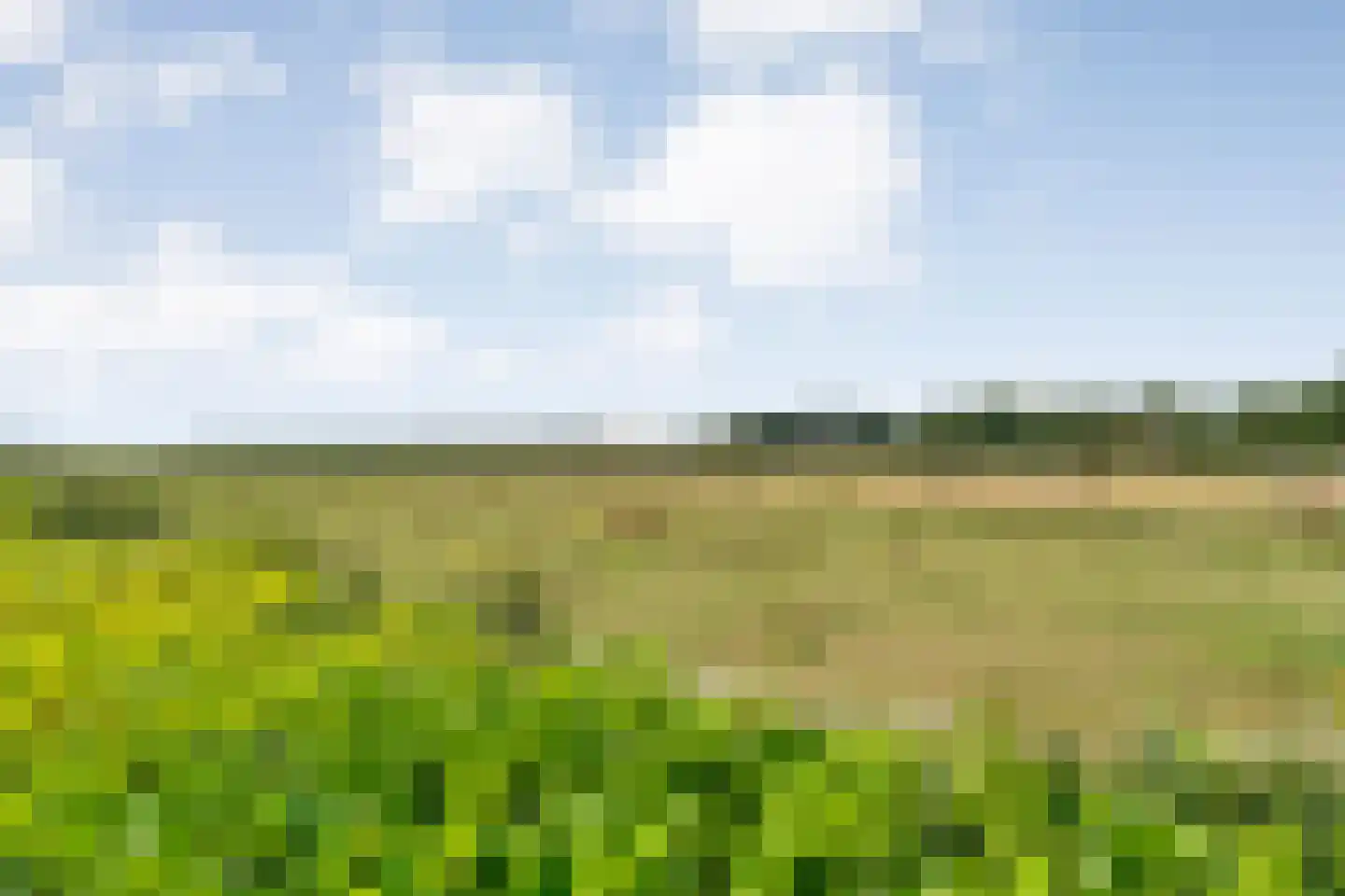 Lindenlaan 20 Geesbrug thumbnail 49