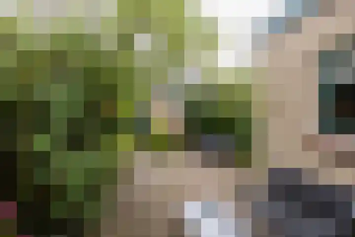 Lindenlaan 20 Leusden thumbnail 21