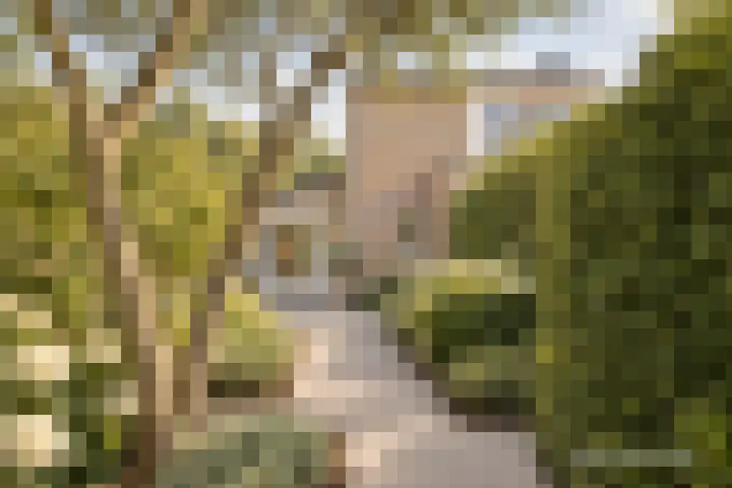 Lindenlaan 21 Heerhugowaard thumbnail 10