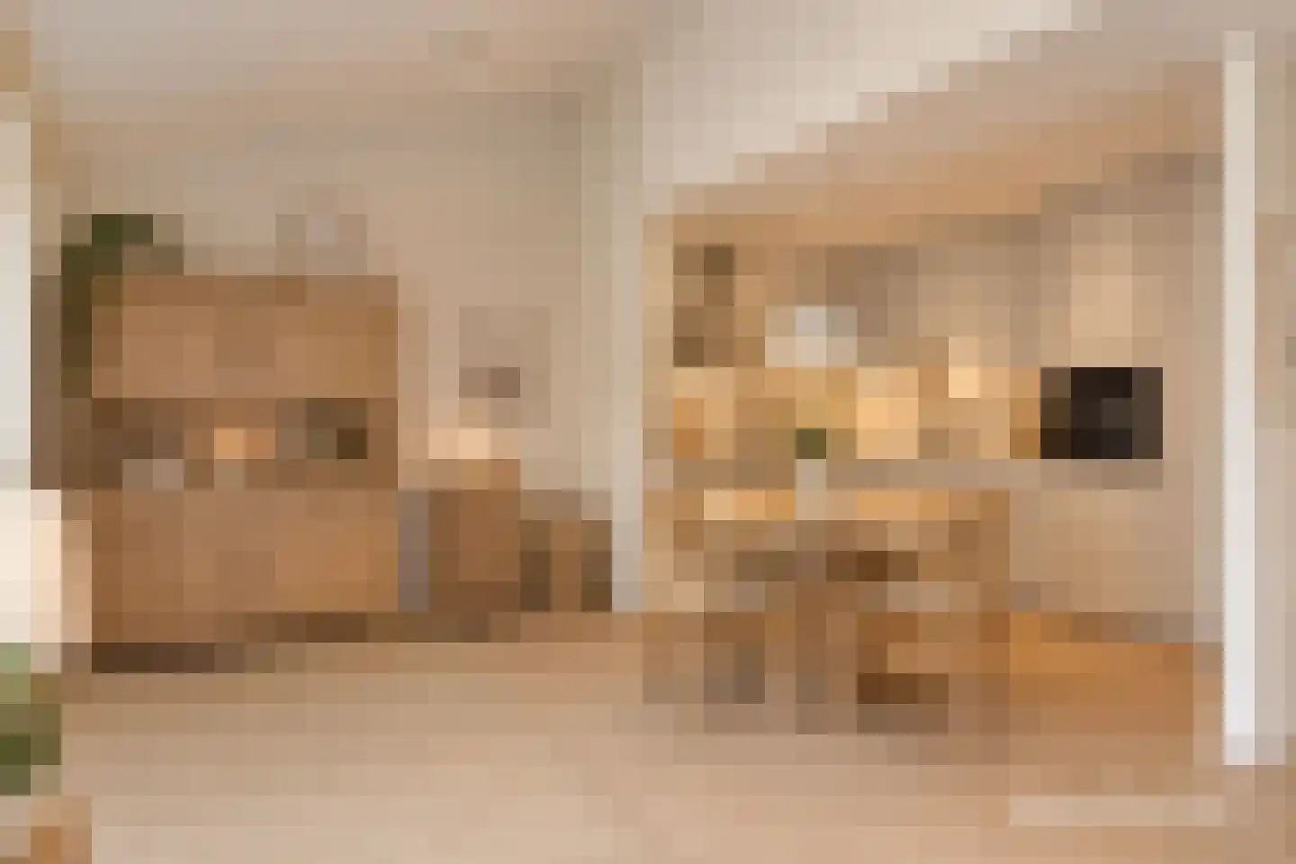 Lindenlaan 21 Heerhugowaard thumbnail 25