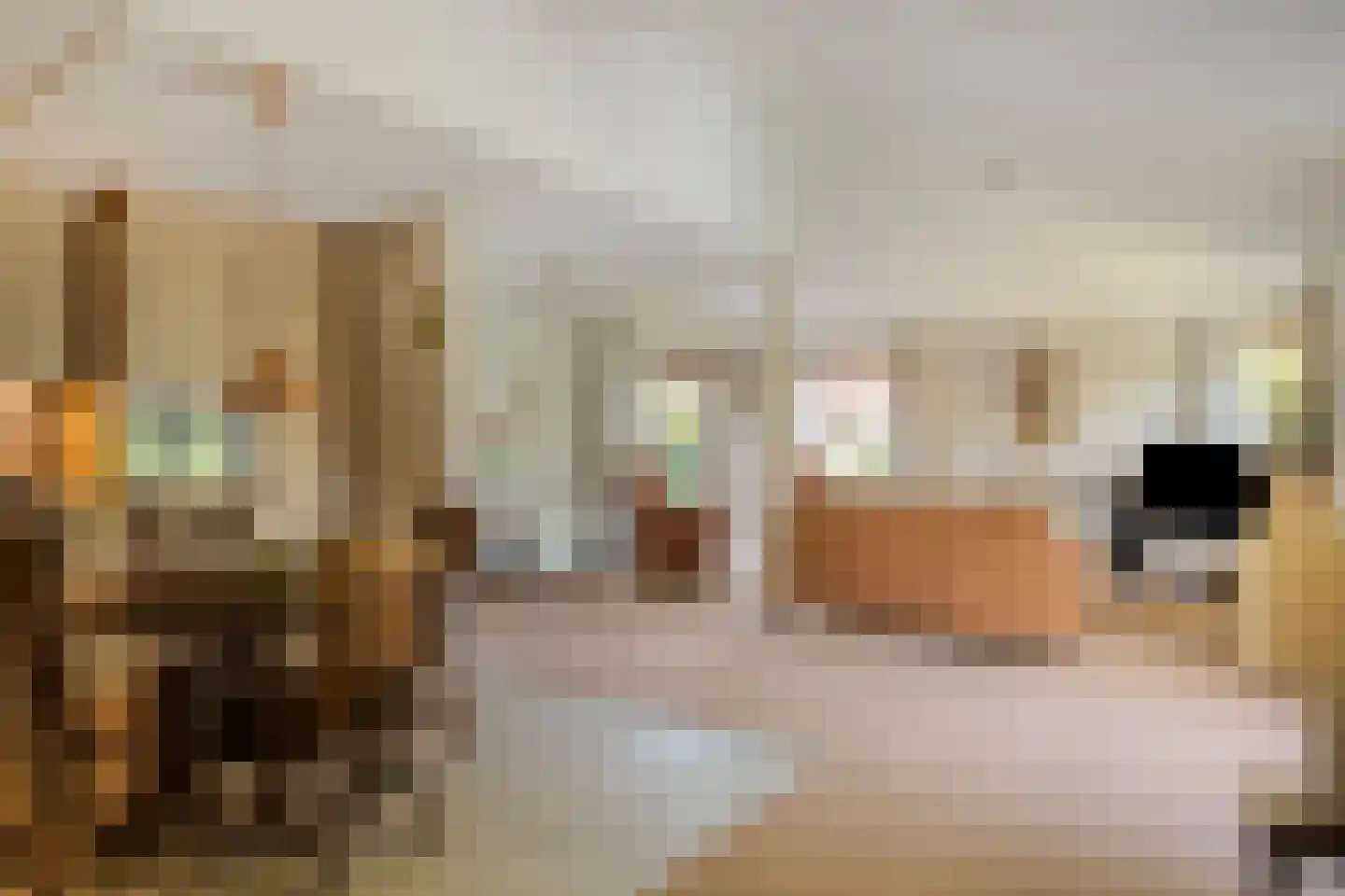Lindenlaan 21 Heerhugowaard thumbnail 26