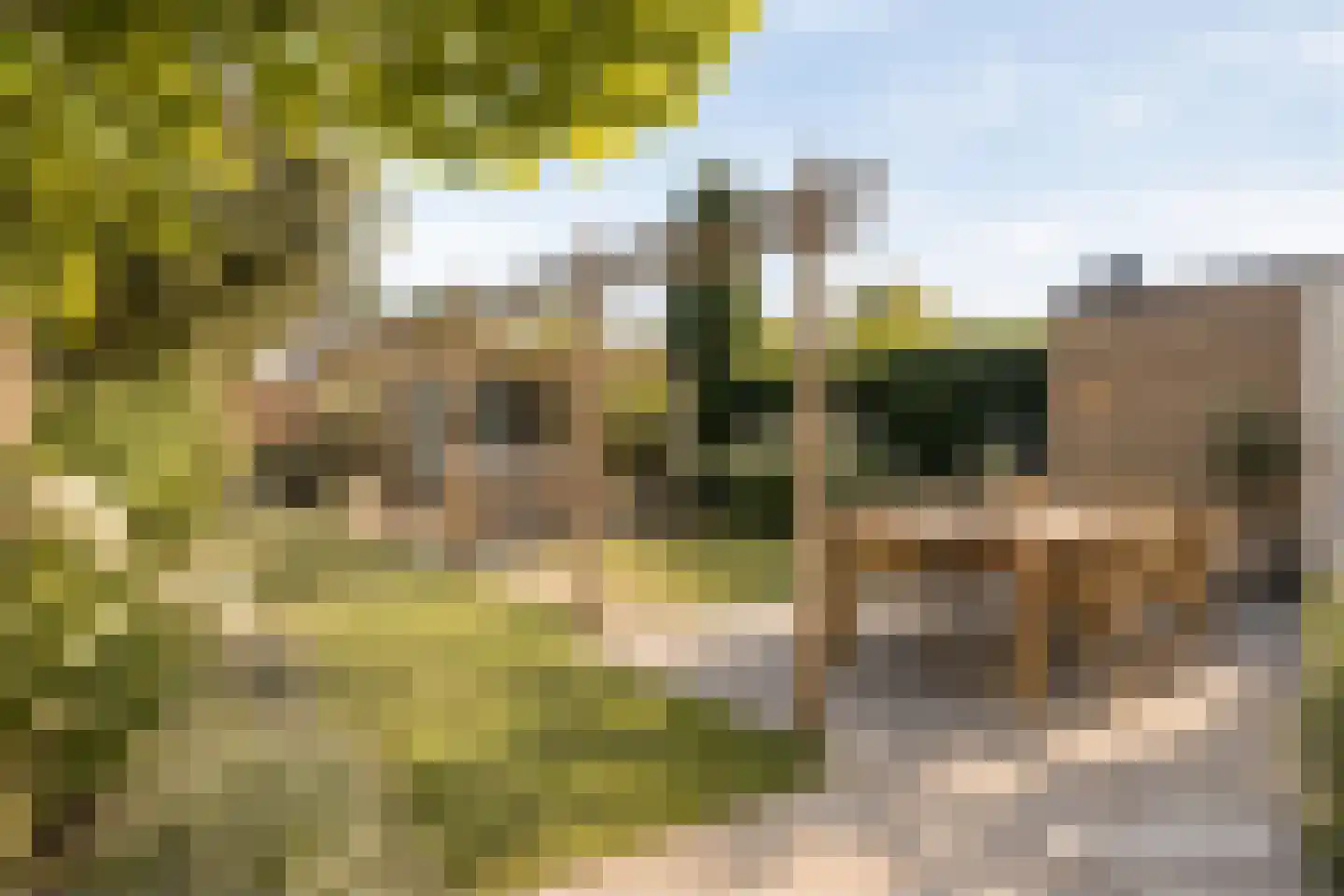 Lindenlaan 21 Heerhugowaard thumbnail 45