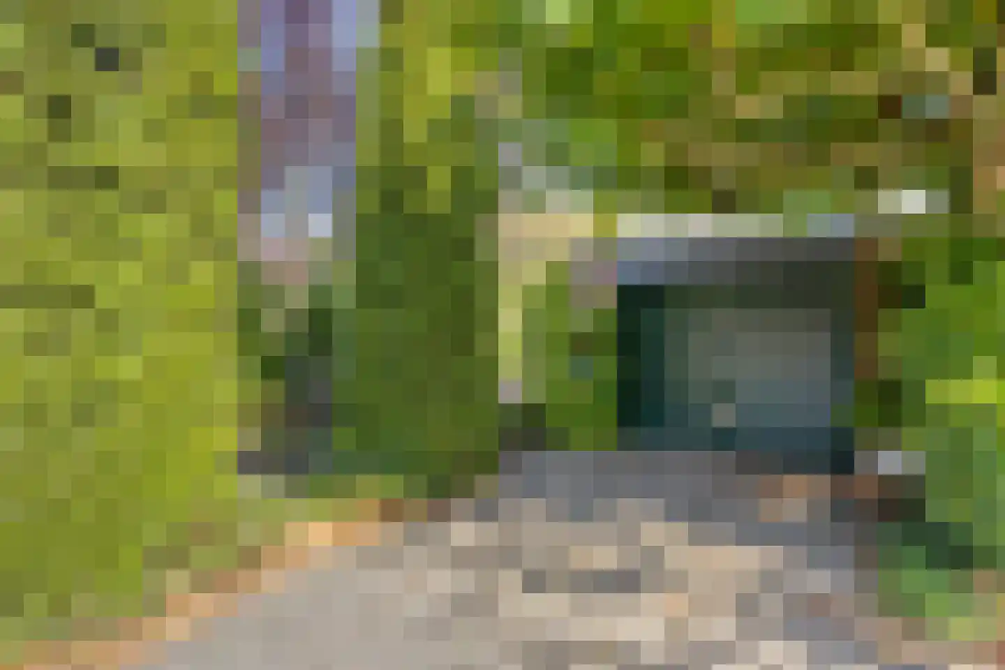 Lindenlaan 21 Heerhugowaard thumbnail 51