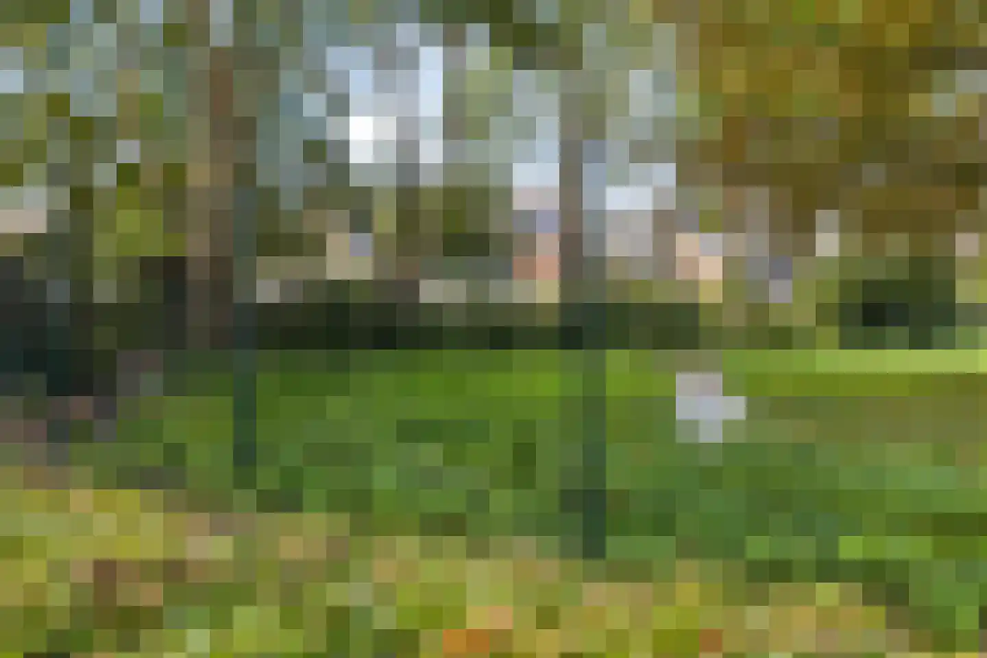 Lindenlaan 21 Heerhugowaard thumbnail 54