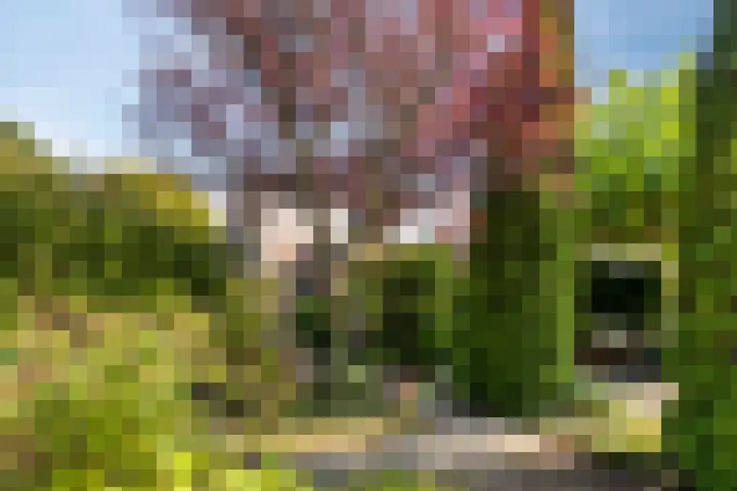 Lindenlaan 21 Heerhugowaard thumbnail 9