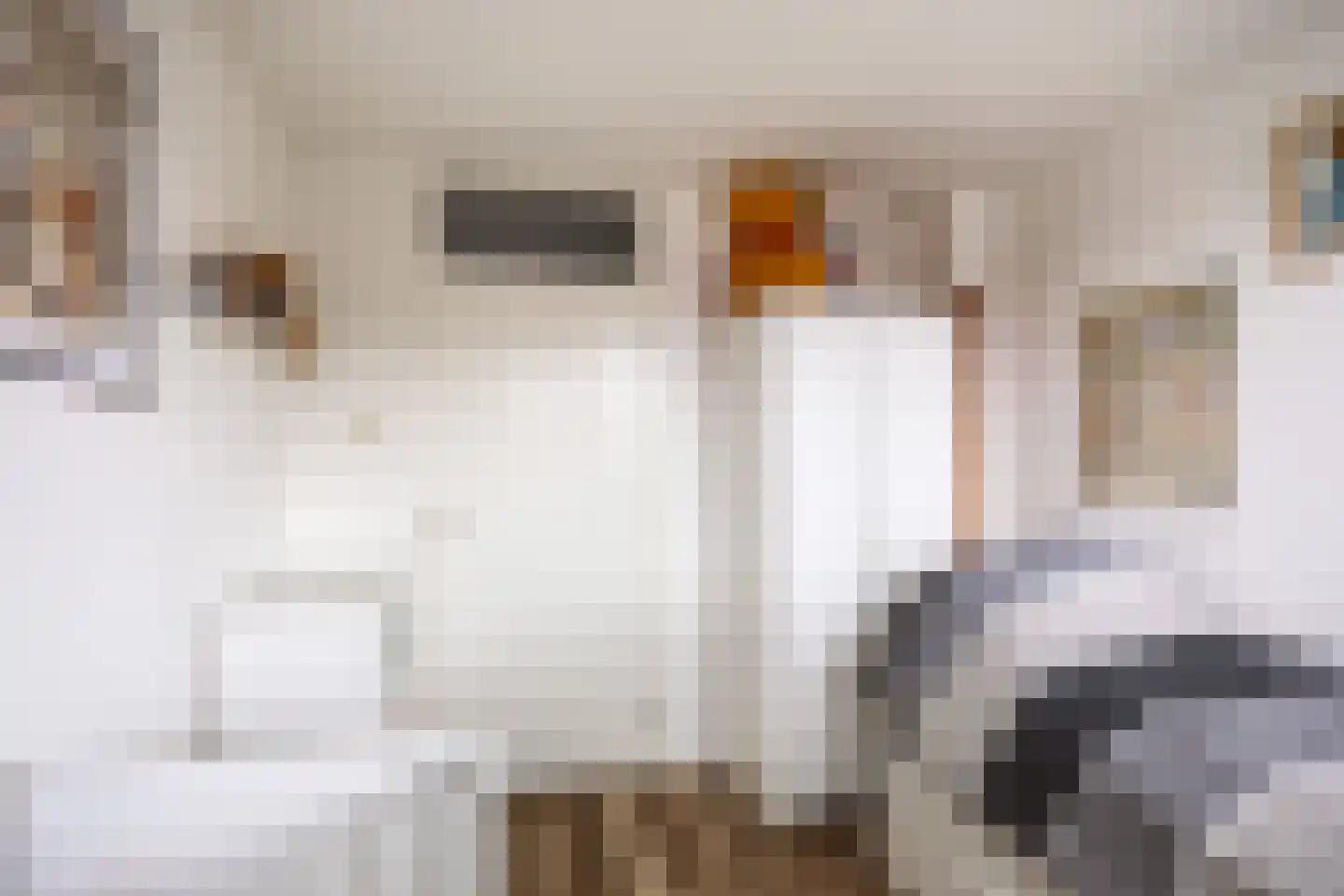 Lindenlaan 21 Sauwerd thumbnail 22
