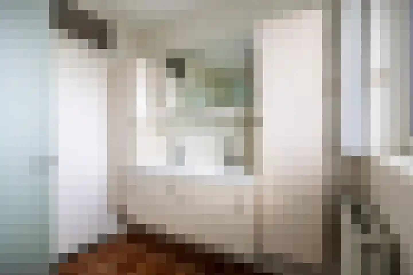 Lindenlaan 21 Sauwerd thumbnail 29