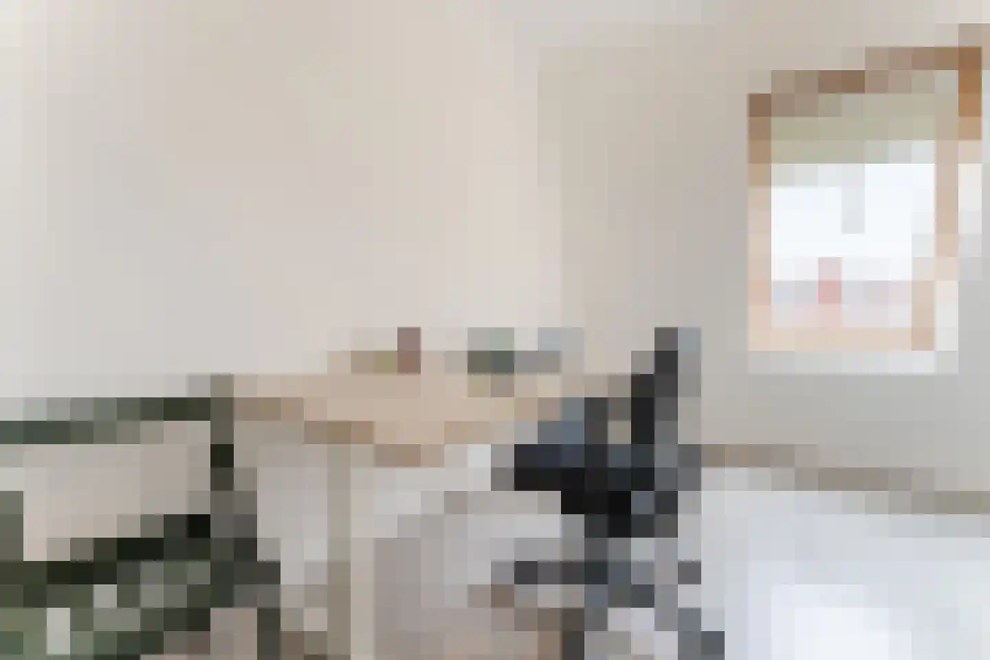 Lindenlaan 21 Zaandam thumbnail 20