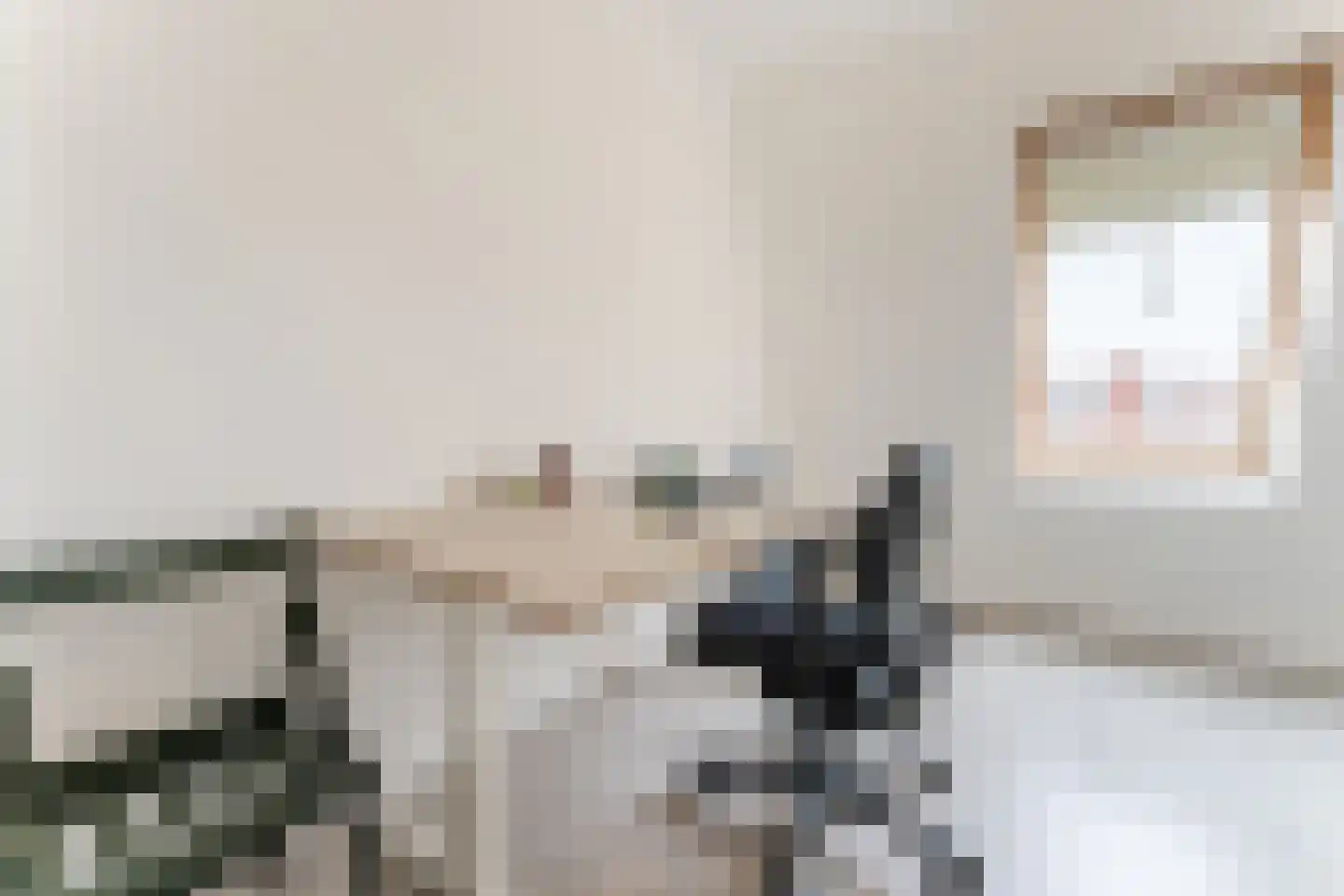 Lindenlaan 21 Zaandam thumbnail 20
