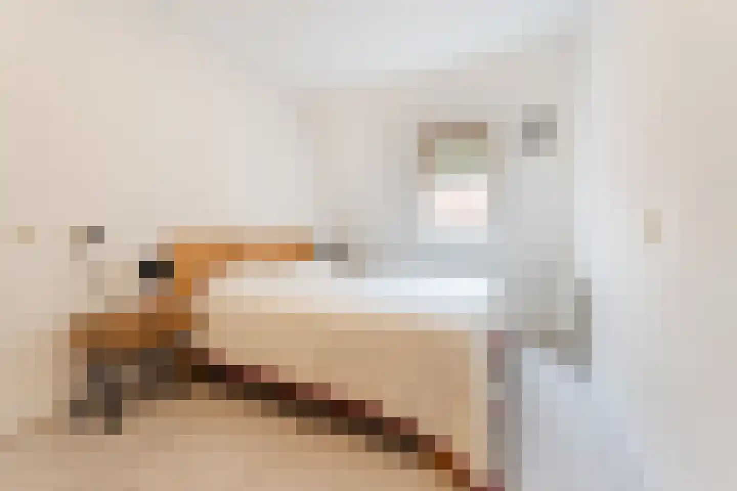 Lindenlaan 21 Zaandam thumbnail 26