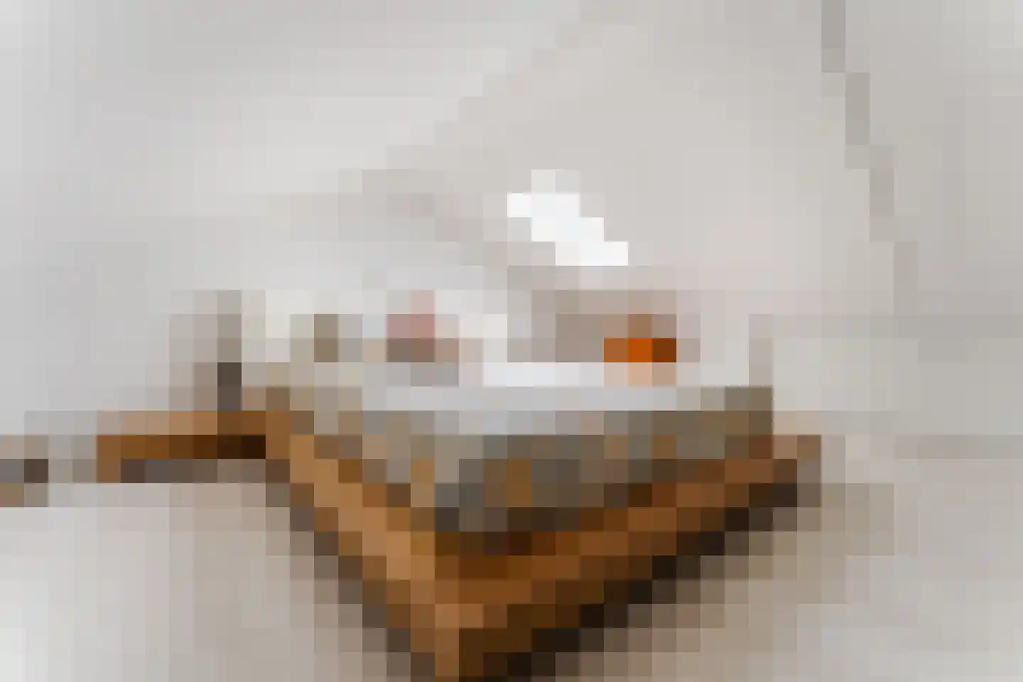 Lindenlaan 21 Zaandam thumbnail 34