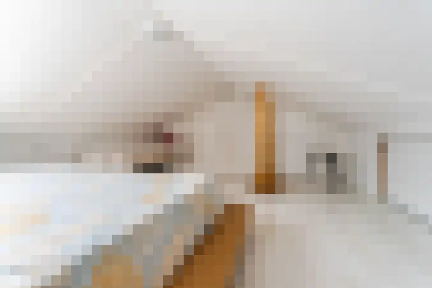 Lindenlaan 21 Zaandam thumbnail 36