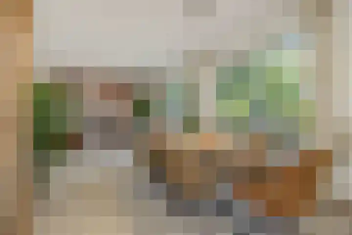 Lindenlaan 23 Heesch thumbnail 11