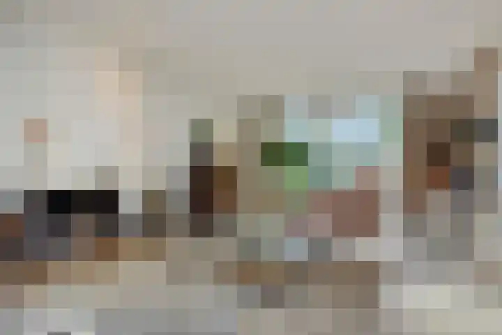 Lindenlaan 23 Heesch thumbnail 14