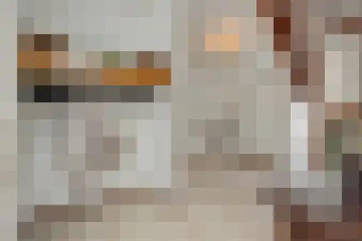 Lindenlaan 23 Heesch thumbnail 16