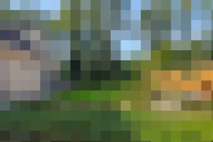 Lindenlaan 23 Heesch thumbnail 34