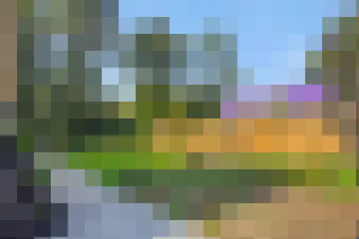 Lindenlaan 23 Heesch thumbnail 35