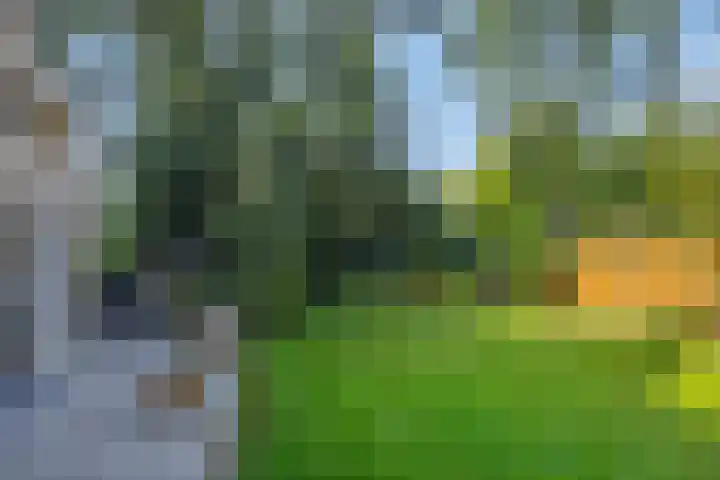 Lindenlaan 23 Heesch thumbnail 36