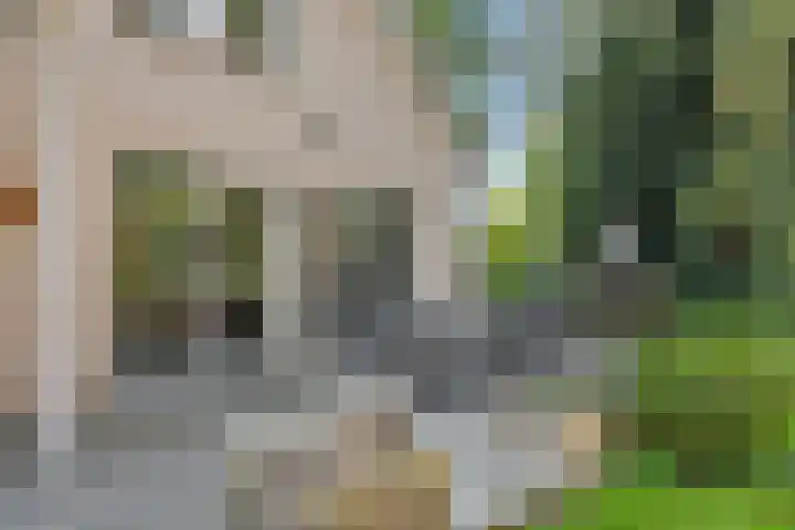 Lindenlaan 23 Heesch thumbnail 37