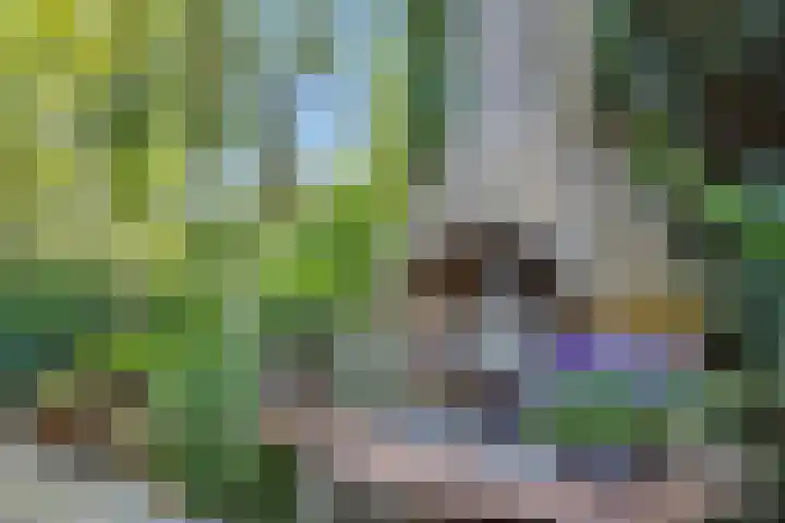 Lindenlaan 23 Heesch thumbnail 38