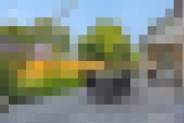 Lindenlaan 23 Heesch thumbnail 39