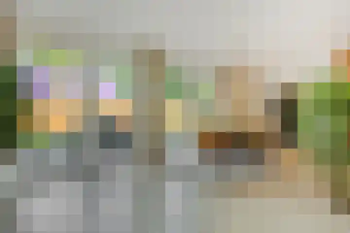Lindenlaan 23 Heesch thumbnail 4