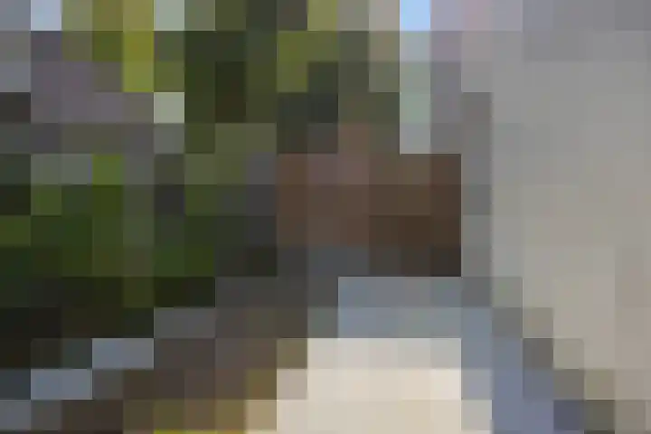 Lindenlaan 23 Heesch thumbnail 40