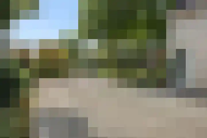 Lindenlaan 23 Heesch thumbnail 42