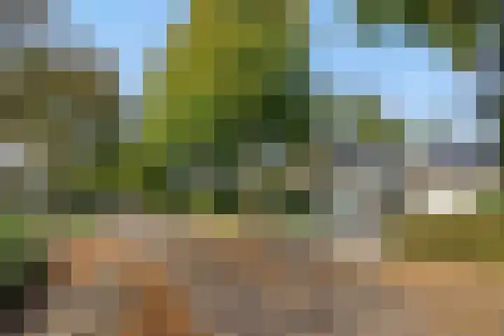 Lindenlaan 23 Heesch thumbnail 43