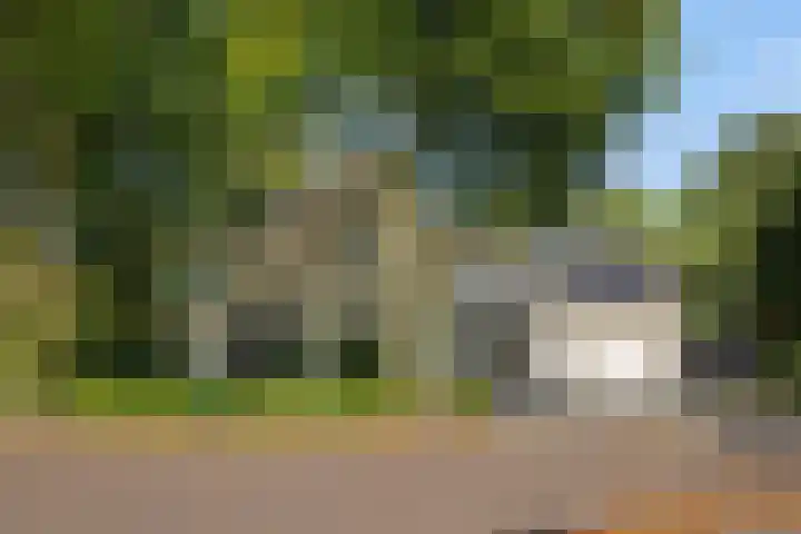 Lindenlaan 23 Heesch thumbnail 45
