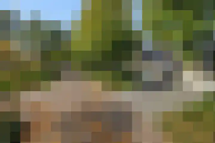 Lindenlaan 23 Heesch thumbnail 46