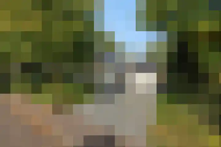 Lindenlaan 23 Heesch thumbnail 47