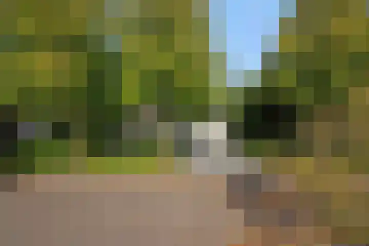 Lindenlaan 23 Heesch thumbnail 48