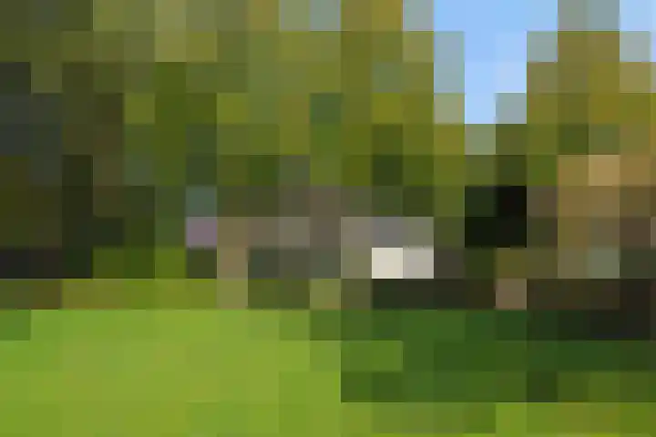 Lindenlaan 23 Heesch thumbnail 49