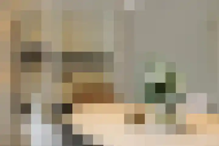 Lindenlaan 23 Heesch thumbnail 5
