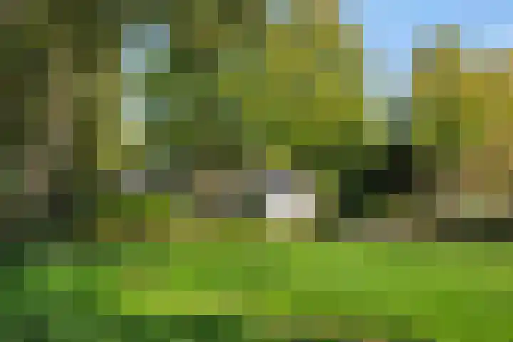 Lindenlaan 23 Heesch thumbnail 50