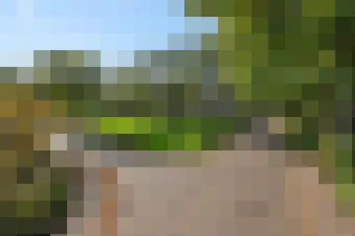 Lindenlaan 23 Heesch thumbnail 52