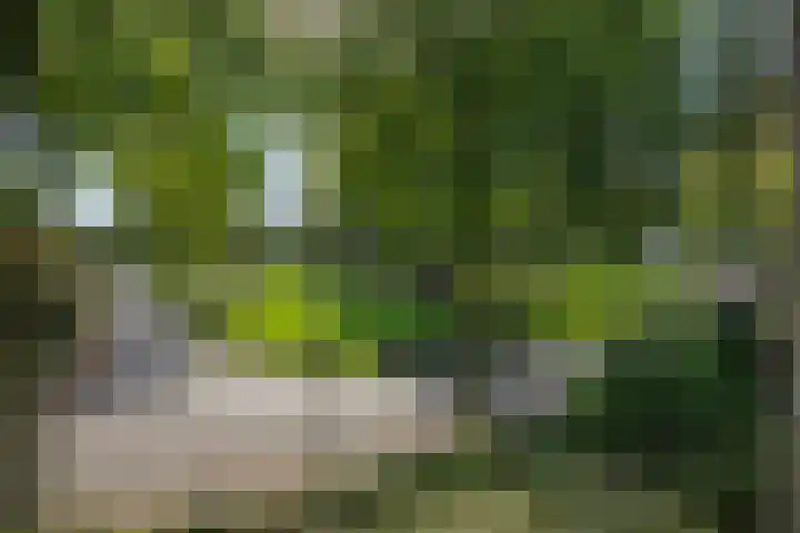 Lindenlaan 23 Heesch thumbnail 53