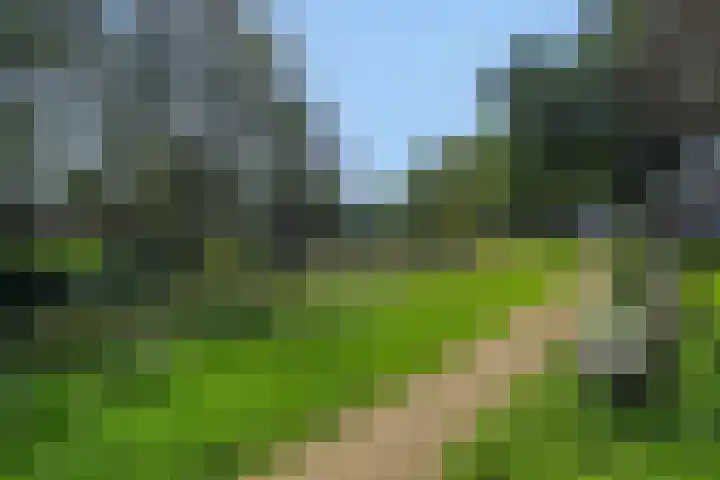Lindenlaan 23 Heesch thumbnail 54