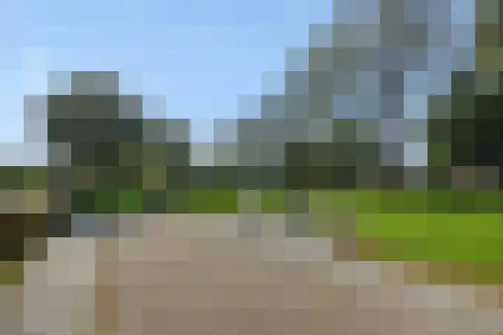 Lindenlaan 23 Heesch thumbnail 55