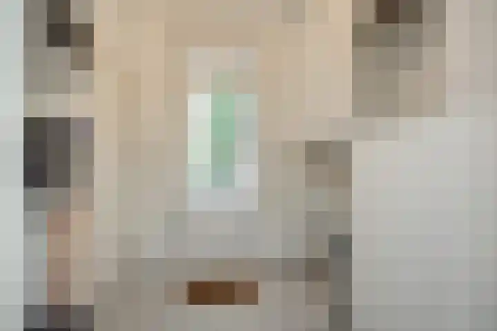 Lindenlaan 23 Heesch thumbnail 7