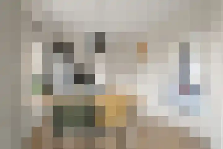 Lindenlaan 23 Kamerik thumbnail 16