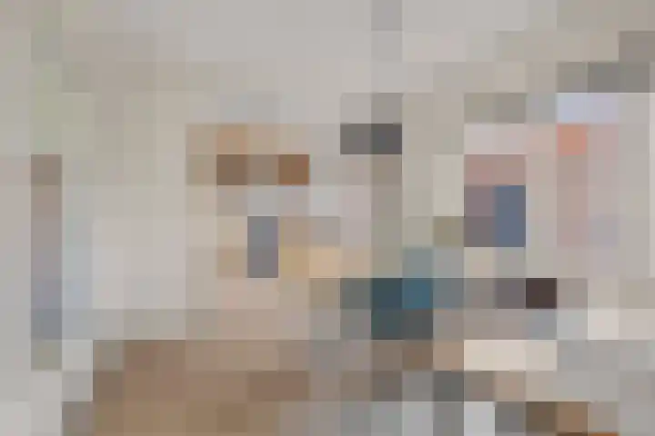Lindenlaan 23 Kamerik thumbnail 17