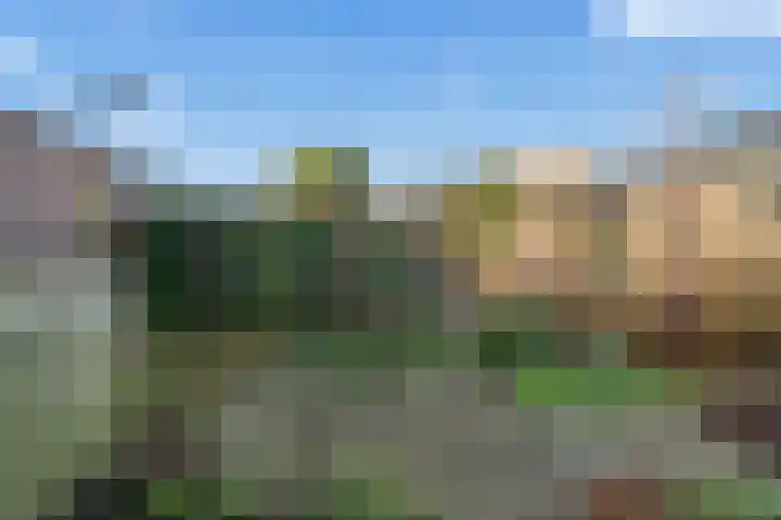 Lindenlaan 23 Kamerik thumbnail 47