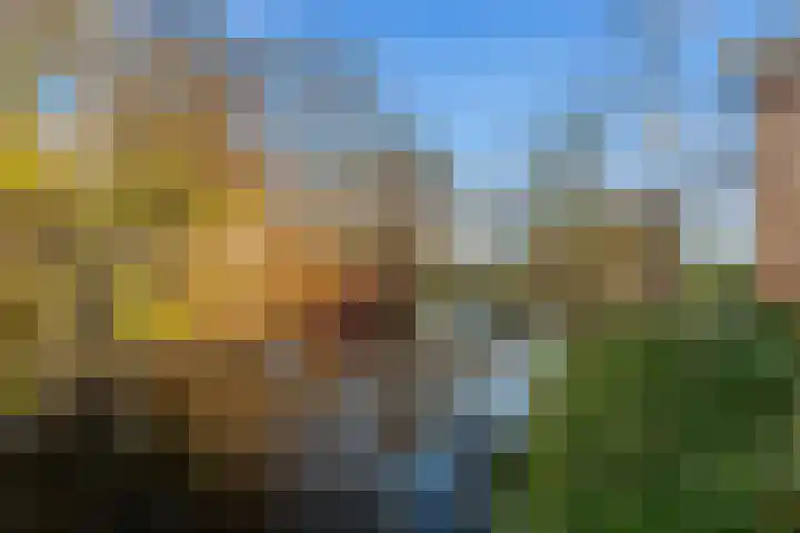 Lindenlaan 23 Kamerik thumbnail 49