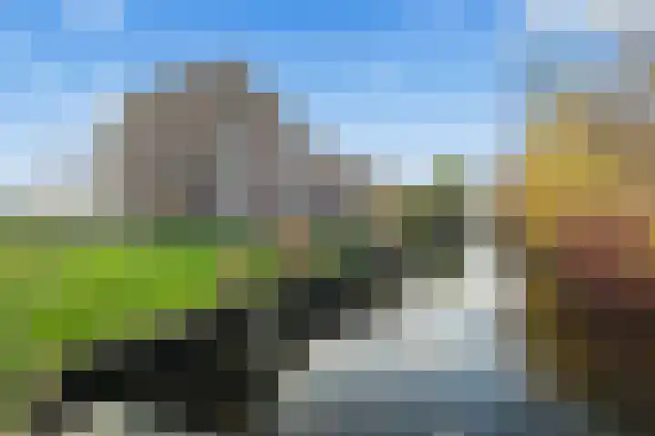 Lindenlaan 23 Kamerik thumbnail 5